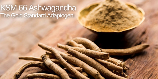 KSM 66 Ashwagandha - The Gold Standard Adaptogen!