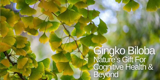 Ginkgo Biloba - Nature's Gift for Cognitive Health & Beyond