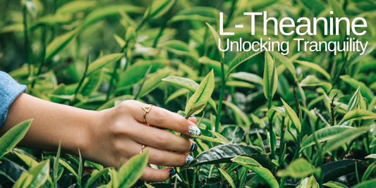 L-Theanine - Unlocking Tranquility